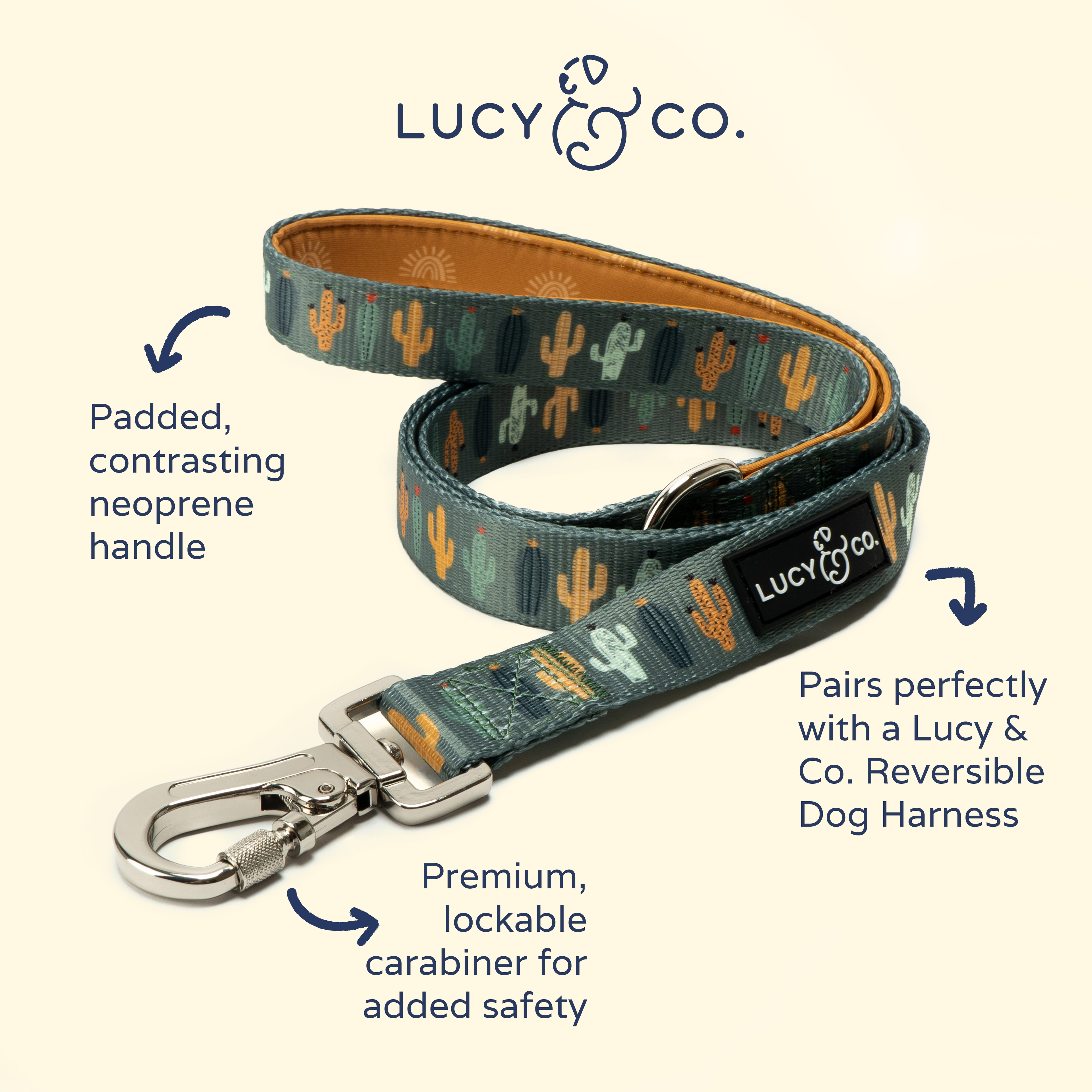 Looking Sharp Dog Leash