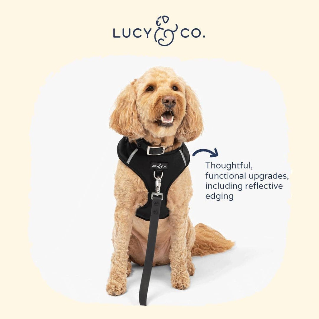Midnight No-Pull Dog Harness