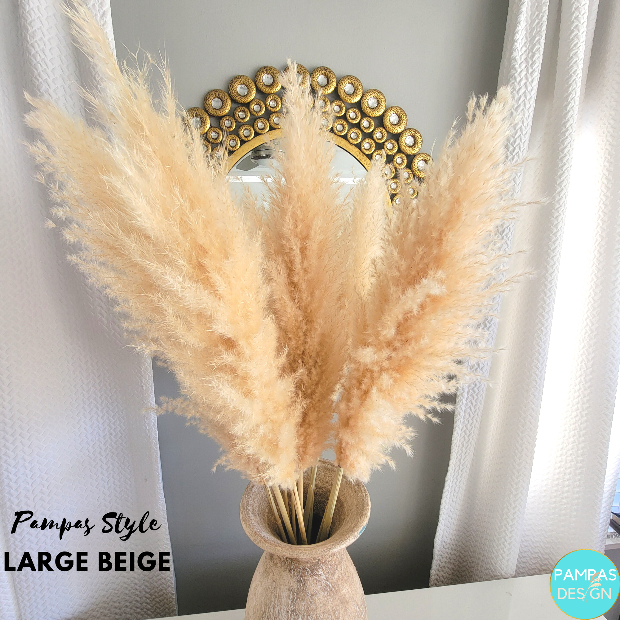 Pampas Grass Large Stem 3.5ft to 4ft Tall Soft and Fluffy