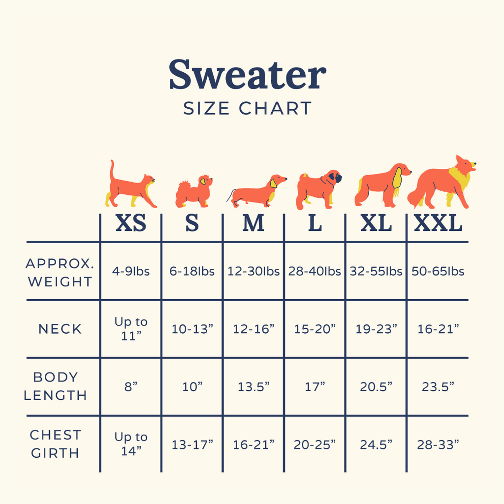 Snow Much Fun Dog Sweater
