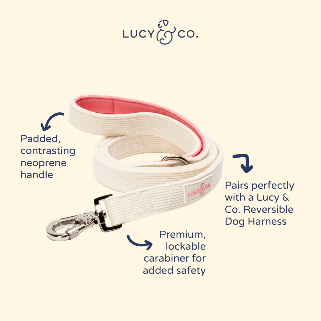 Ivory Corduroy Dog Leash