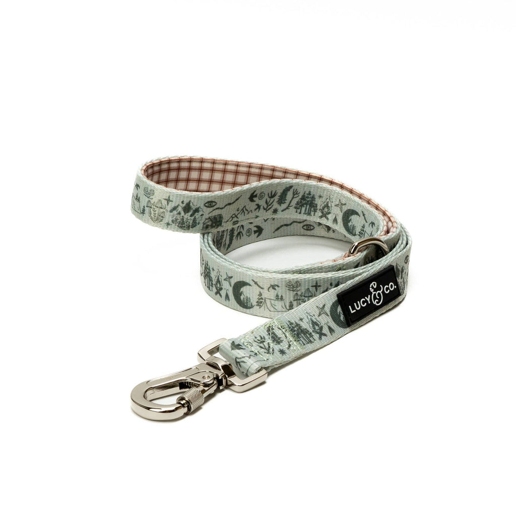 Camp Out Dog Leash