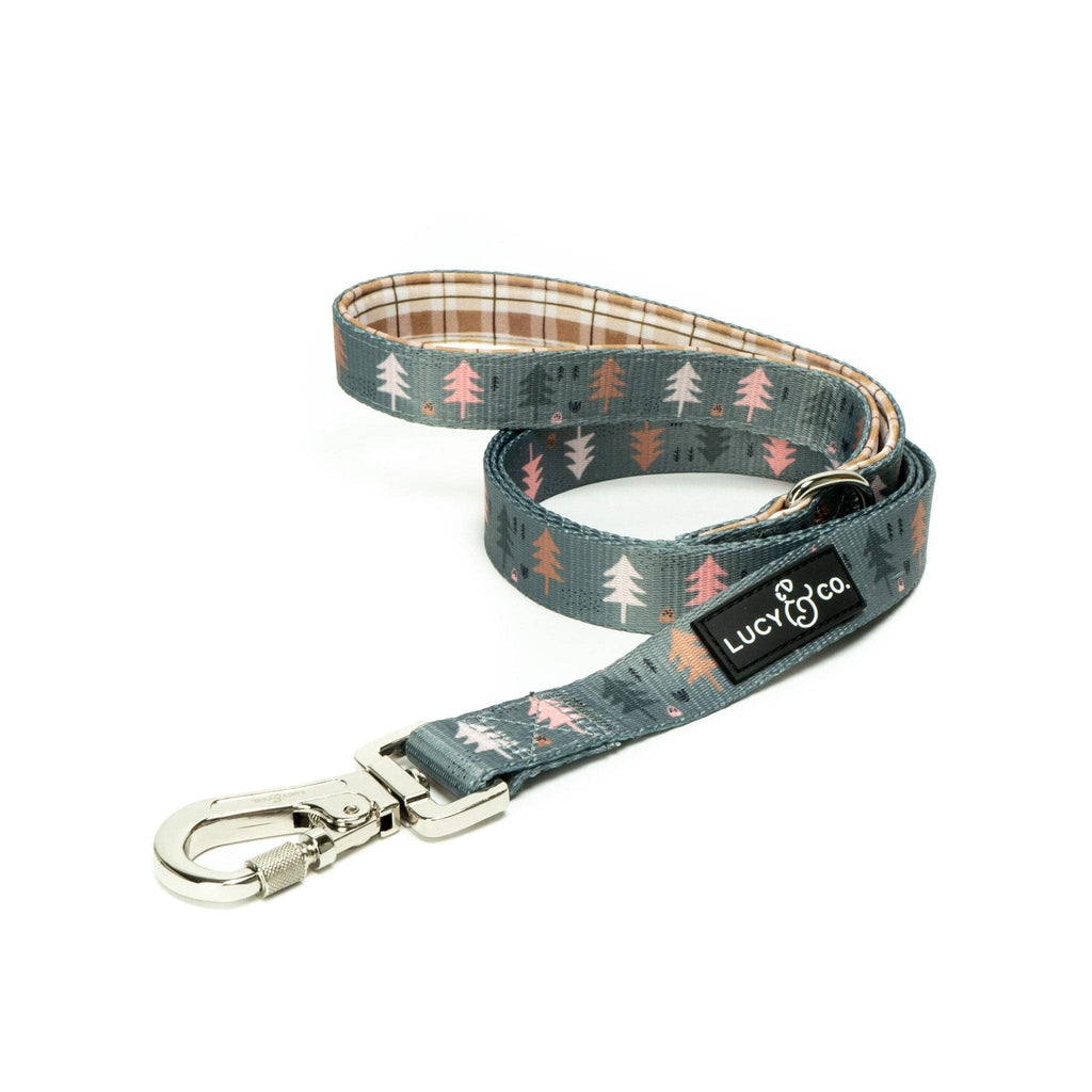 Take a Hike Dog Leash