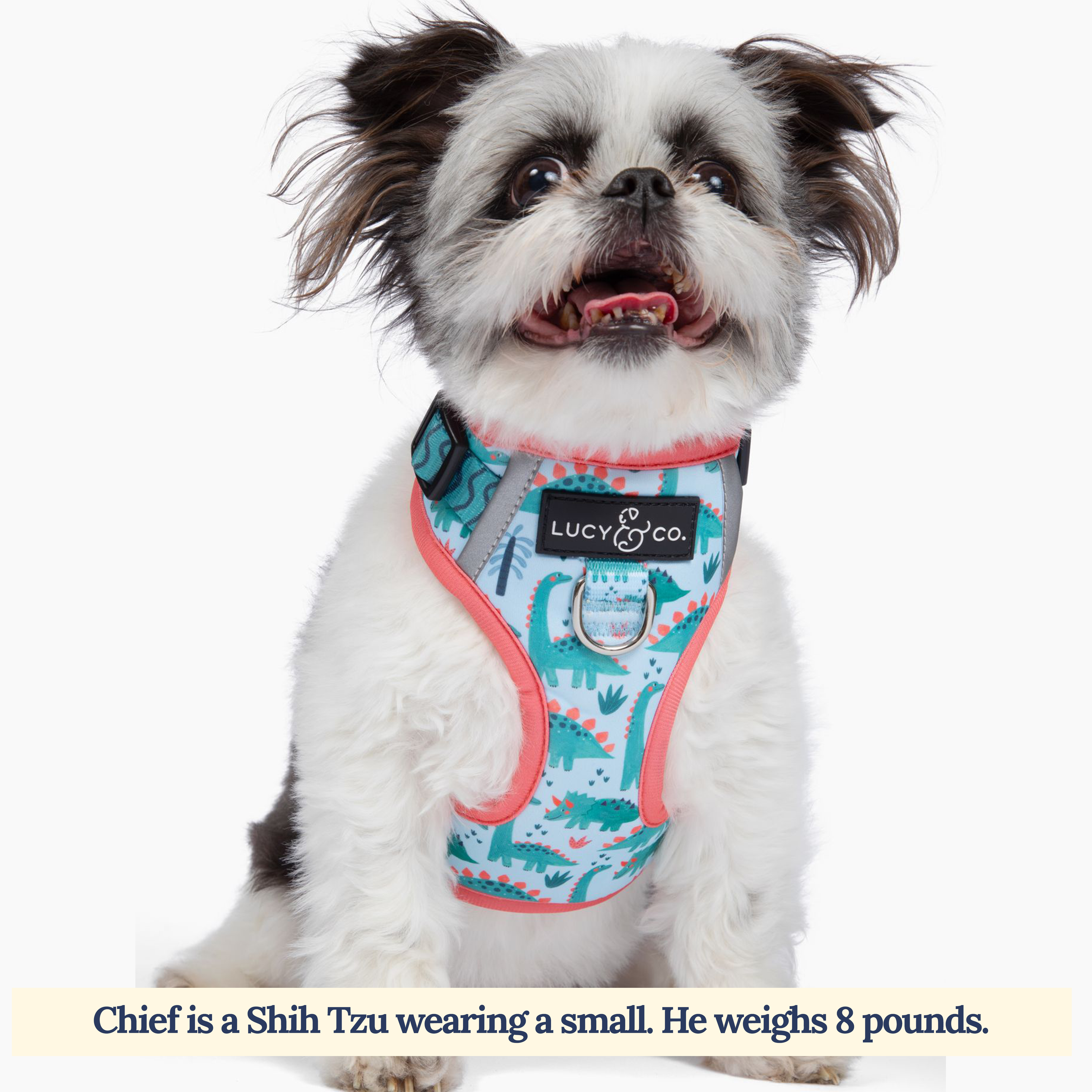 DinoROAR No-Pull Dog Harness