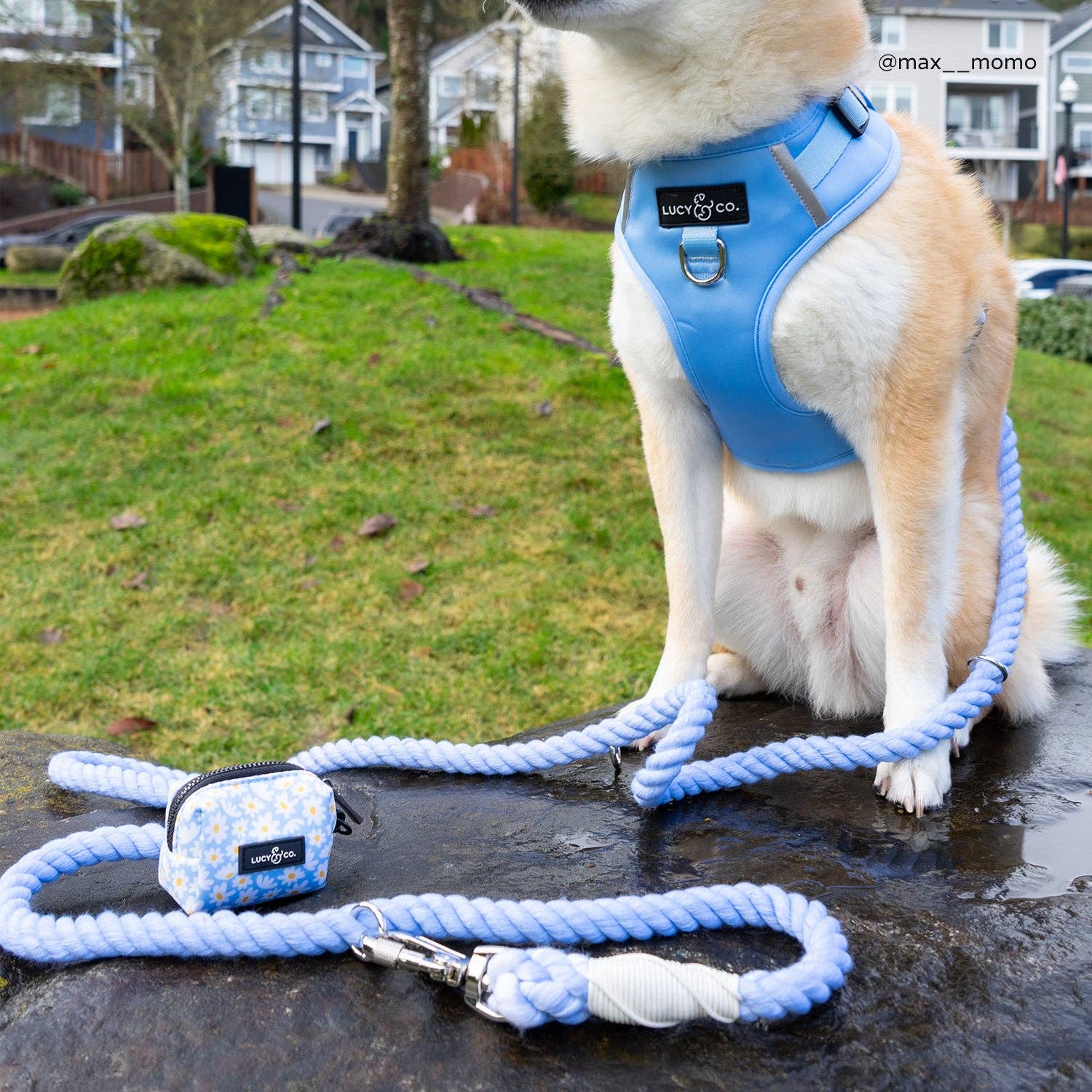 Simply Splendid Poop Bag Holder