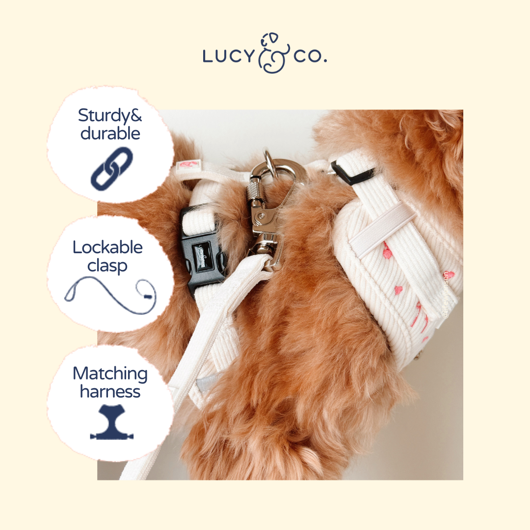 Ivory Corduroy Dog Leash