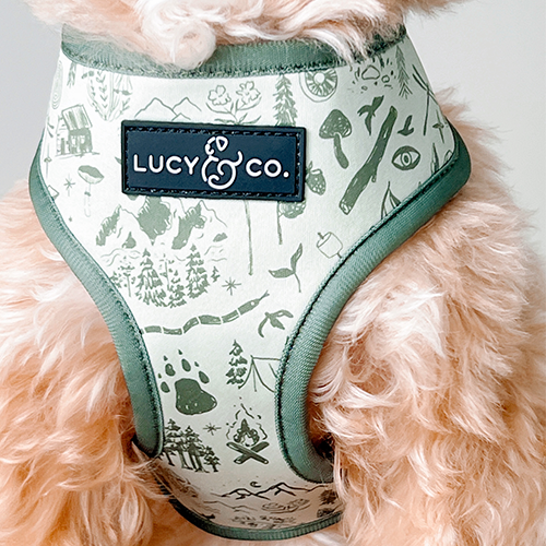 Camp Out Reversible Dog Harness