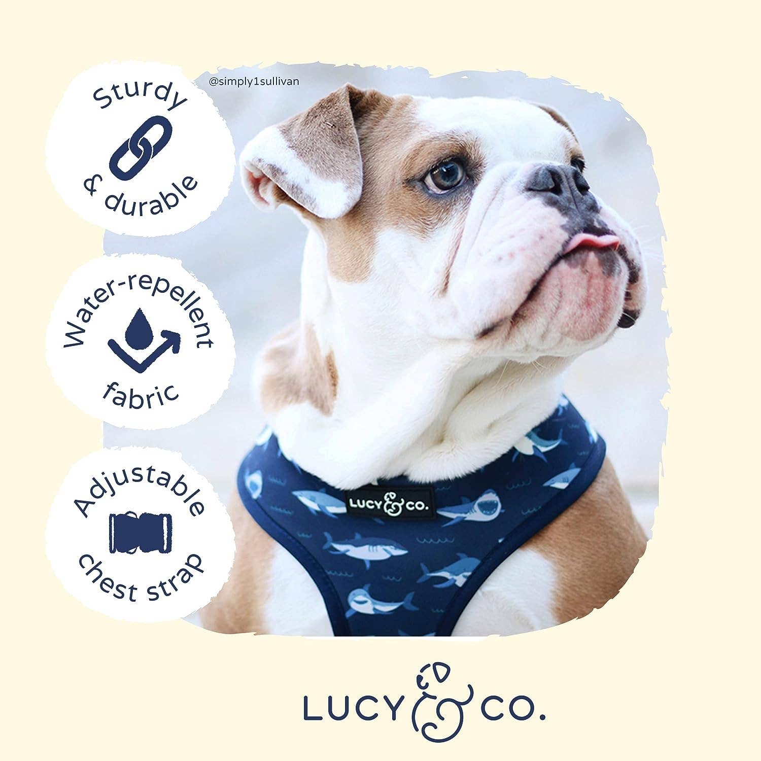 Shark Attack Reversible Dog Harness