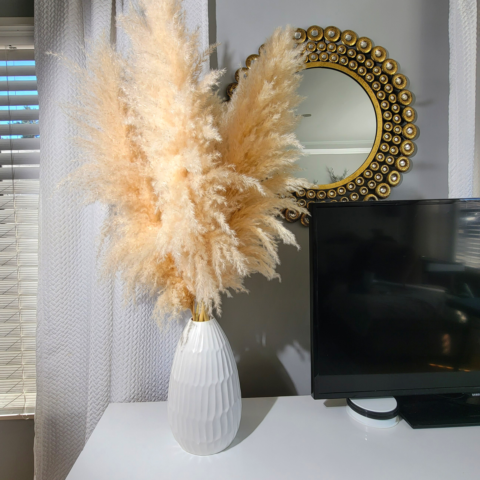 Huge XL Fluffy Pampas Grass 1 Stem (3.5ft to 4ft Tall)