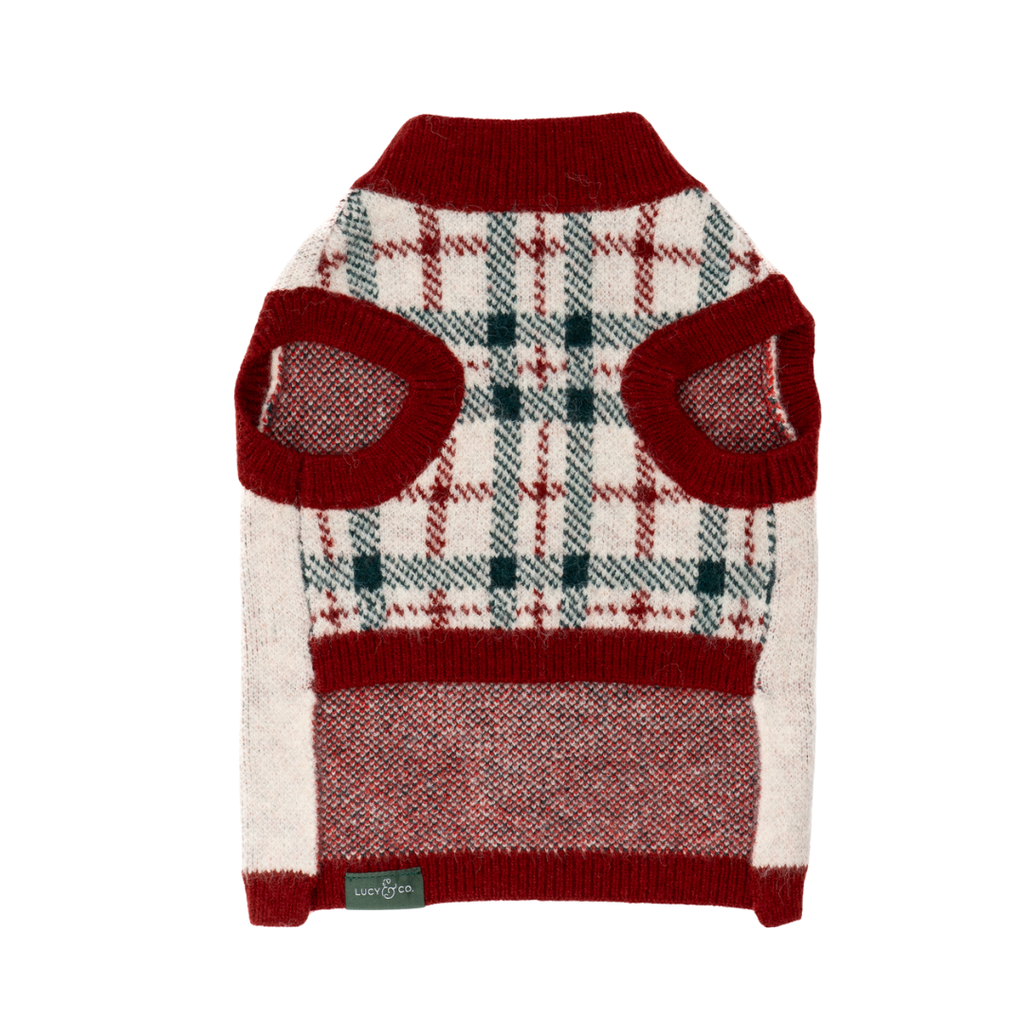 Snow Much Fun Dog Sweater