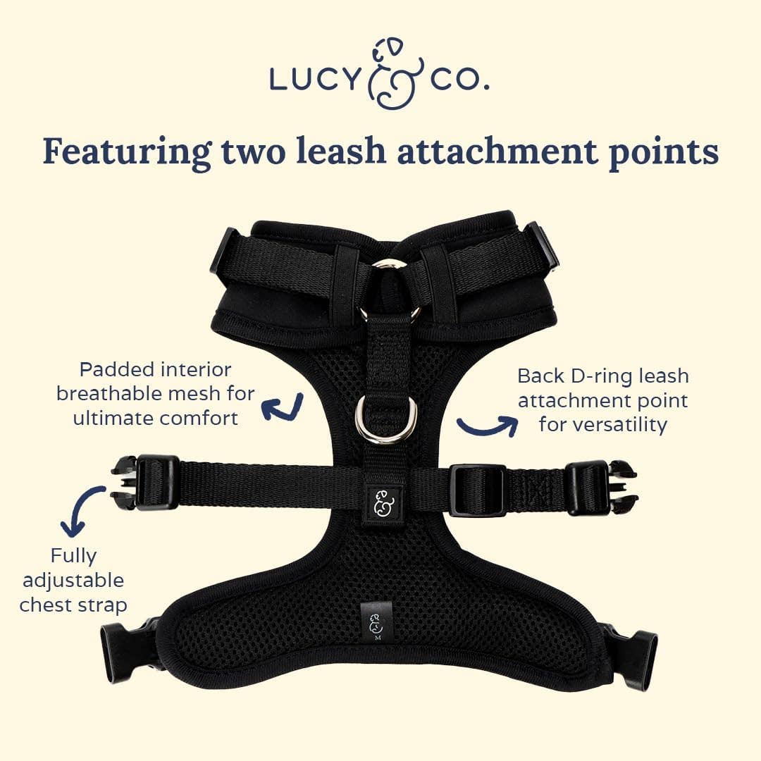 Midnight No-Pull Dog Harness