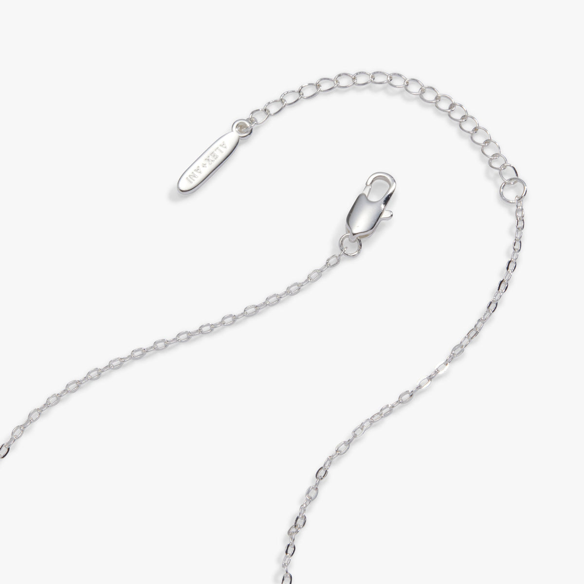 Ornaments Multi Charm Necklace