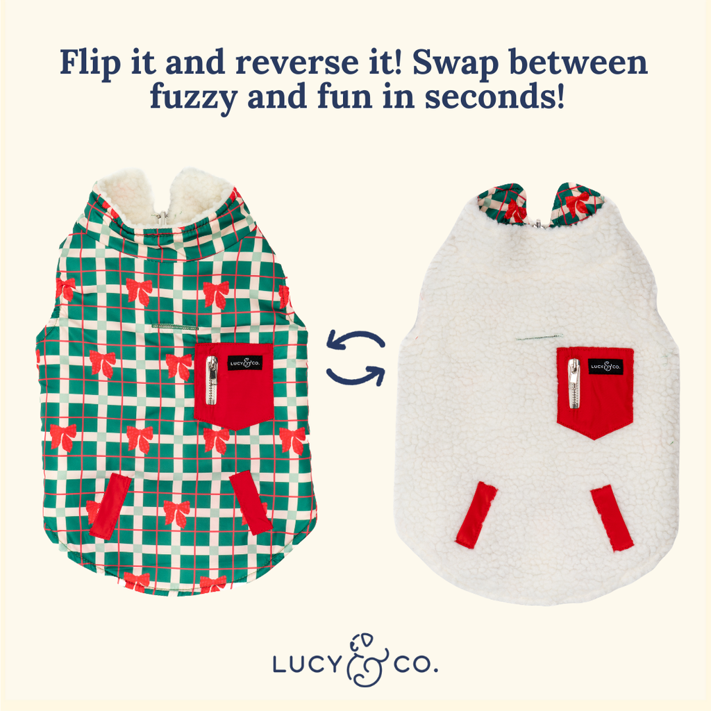 Happy Howlidays Reversible Teddy Dog Vest