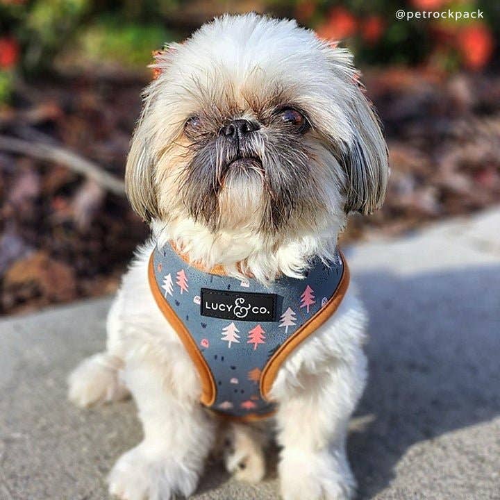 The Take a Hike Reversible Dog Harness