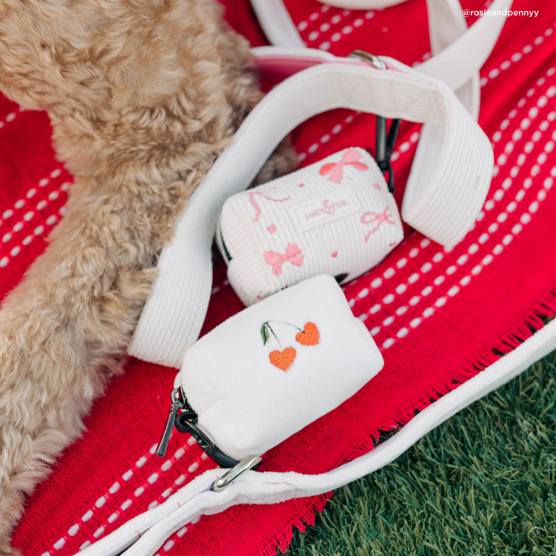 Ivory Corduroy Dog Leash