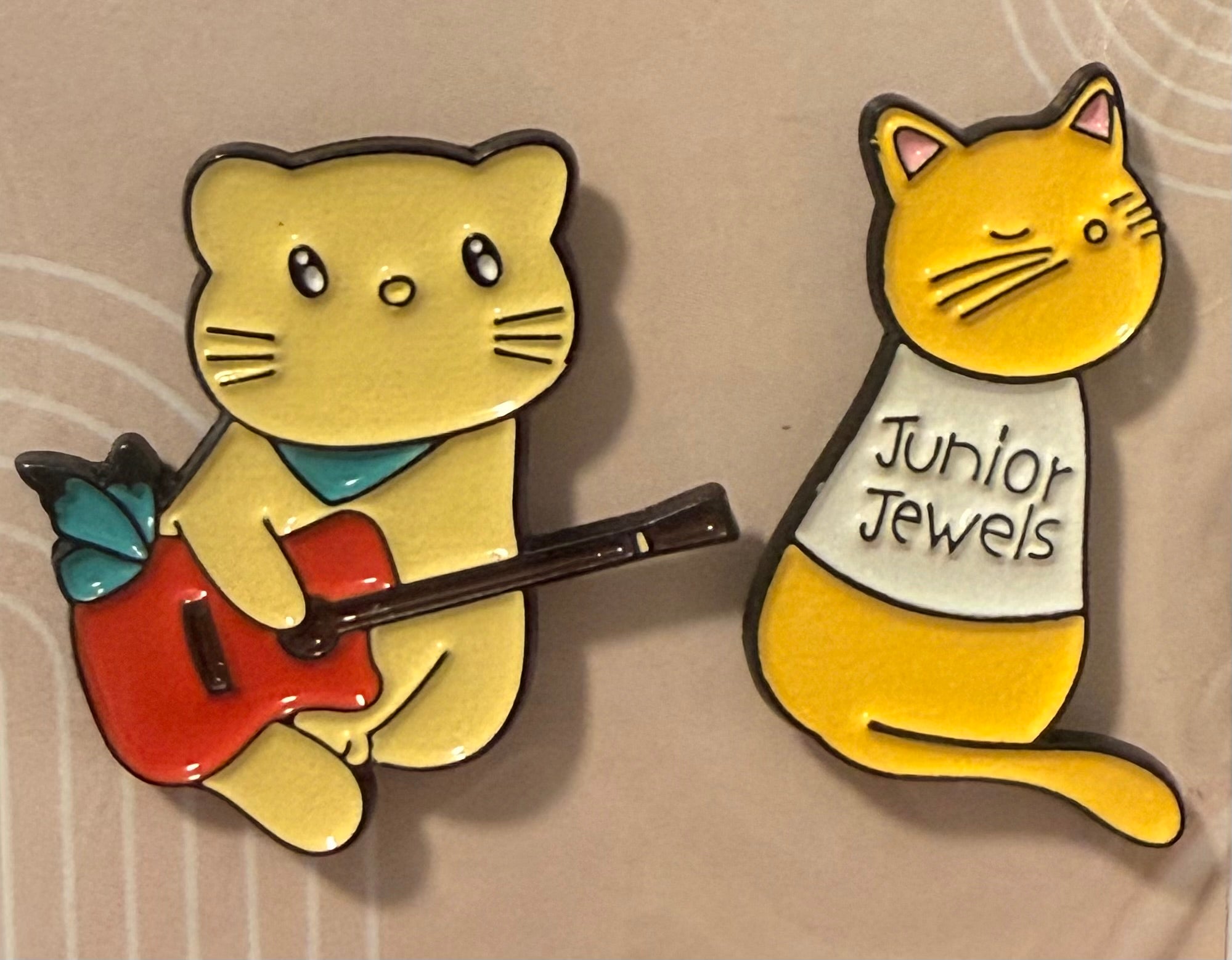 Eras Tour Cats Taylor Swift Pin / Brooch