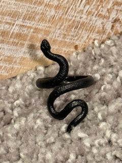 Reputation Snake Ring