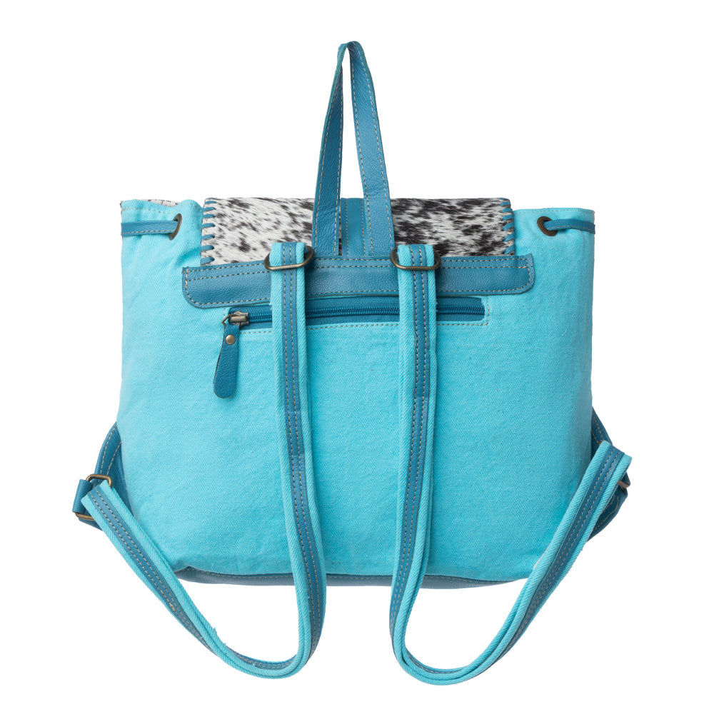 Sky Falcon Backpack Bag