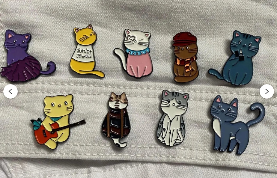 Eras Tour Cats Taylor Swift Pin / Brooch