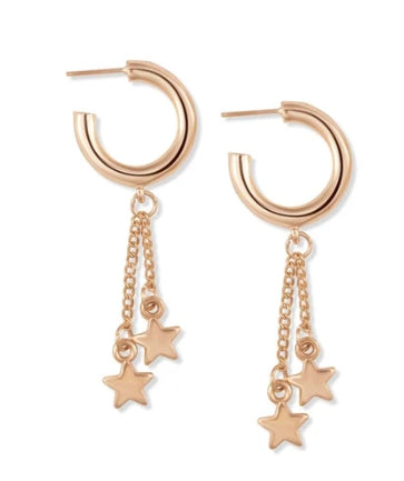 Illuminate Earrings Myra Bag
