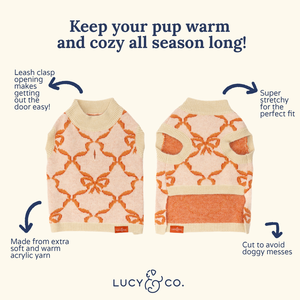 Coquette Ribbons Pet Sweater