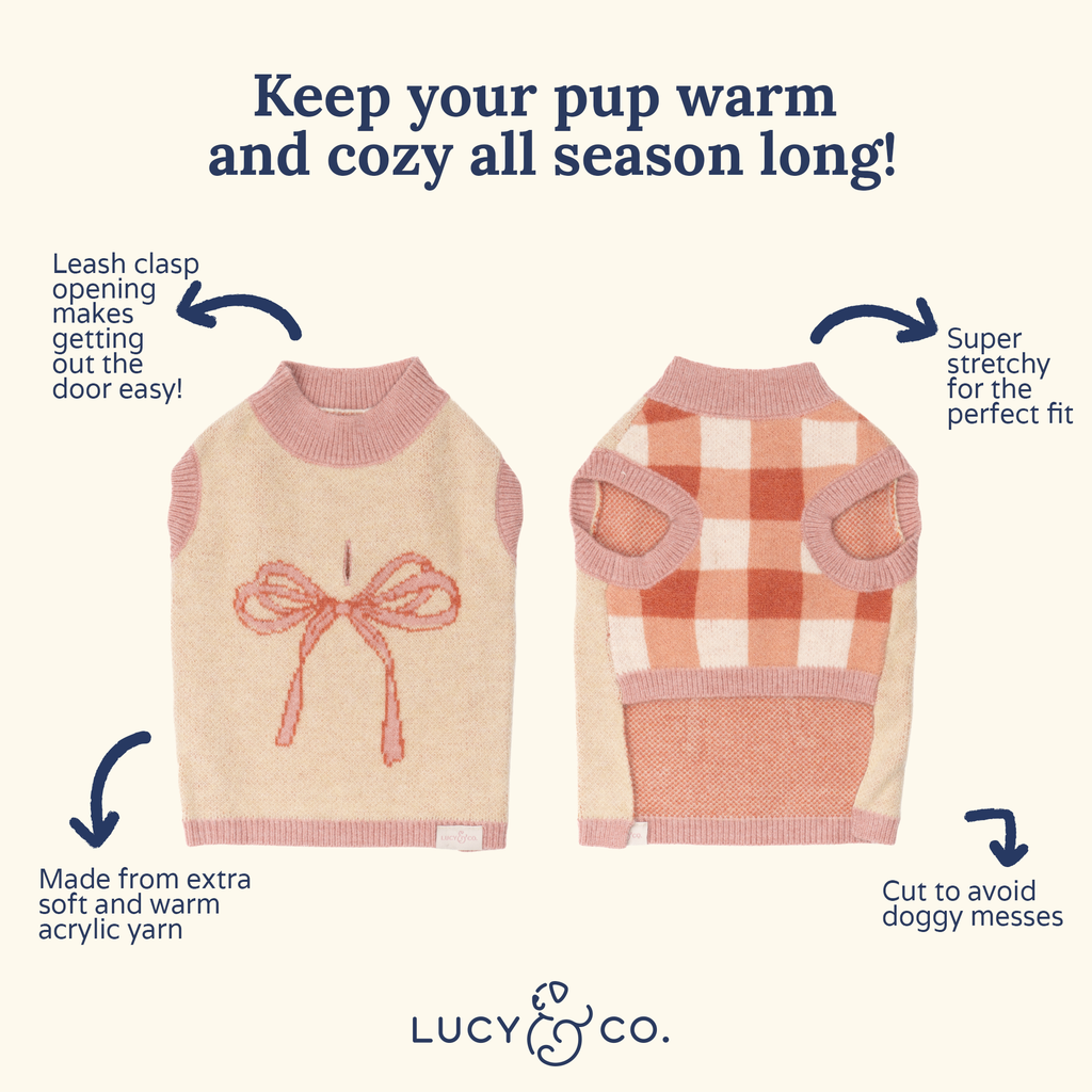Take a Bow Dog Sweater
