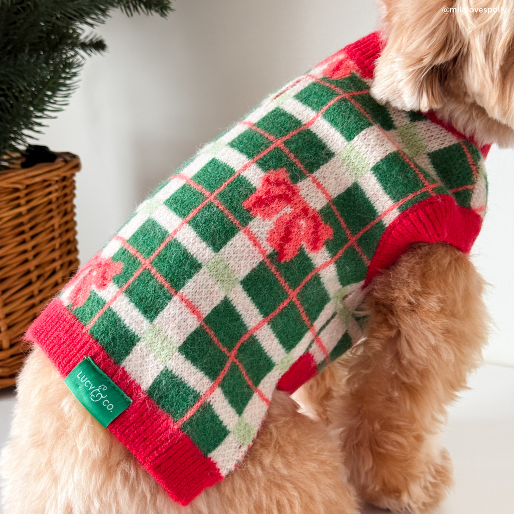 Happy Howlidays Dog Sweater