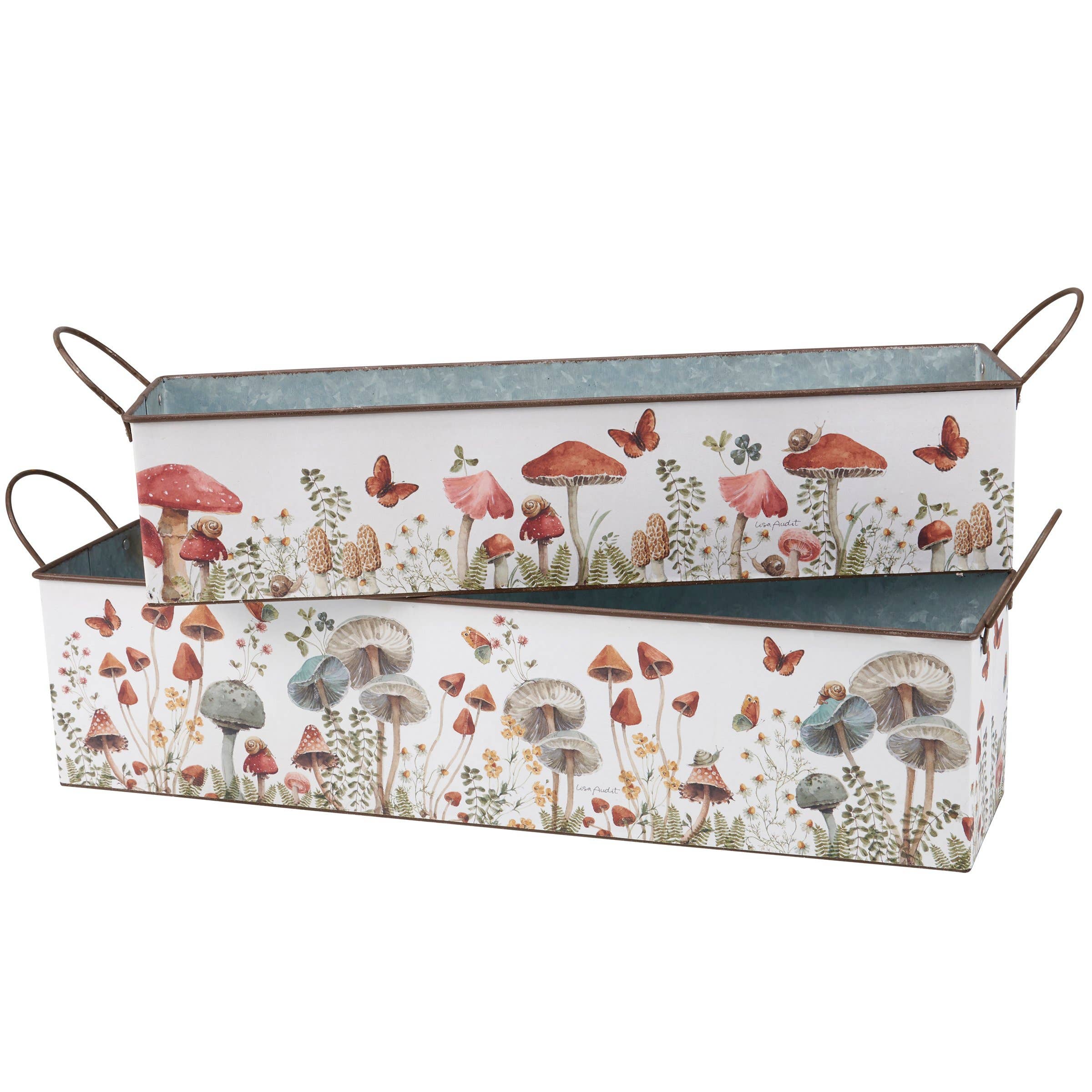 Mushroom Study Bin Set