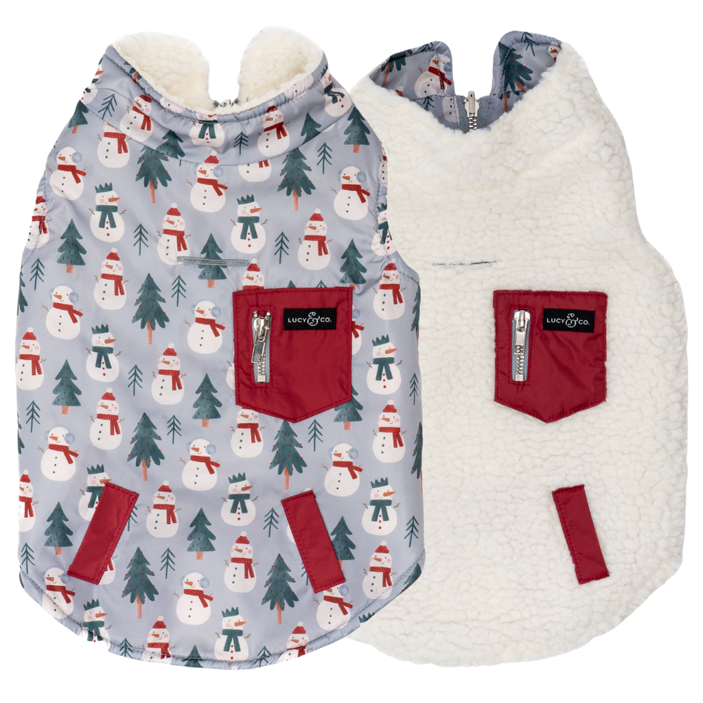 Snow Much Fun Reversible Teddy Dog Vest