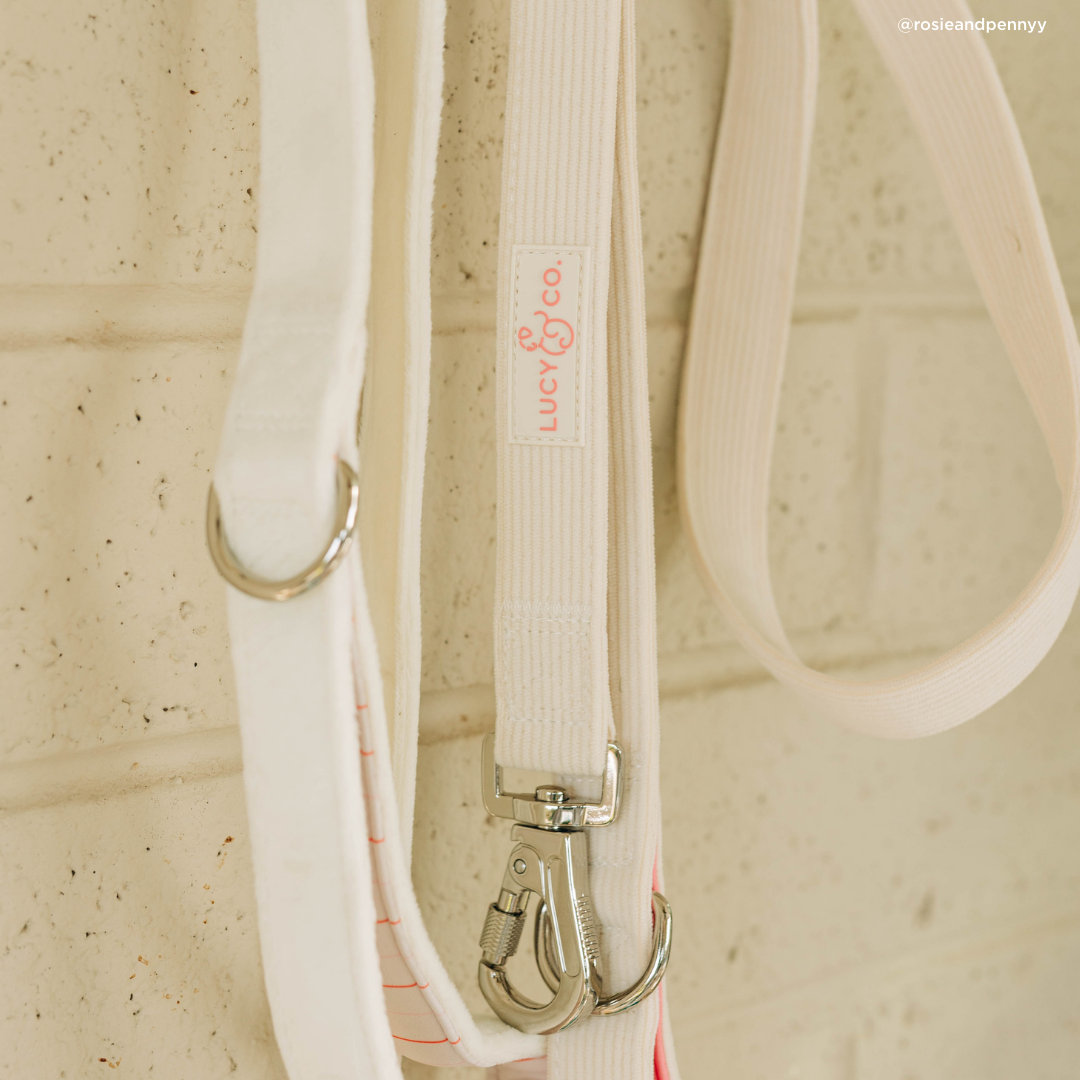 Ivory Corduroy Dog Leash