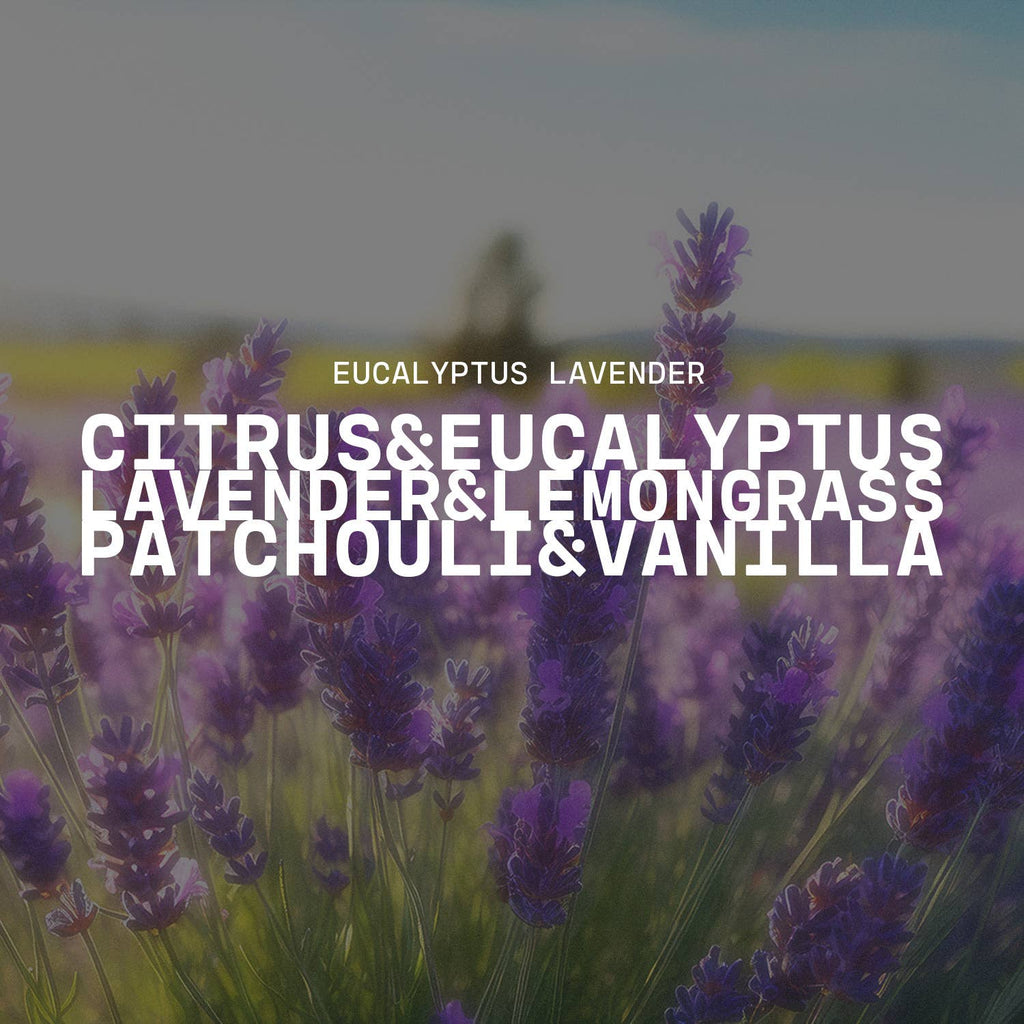 5 oz Cream Jar Candle: Eucalyptus Lavender