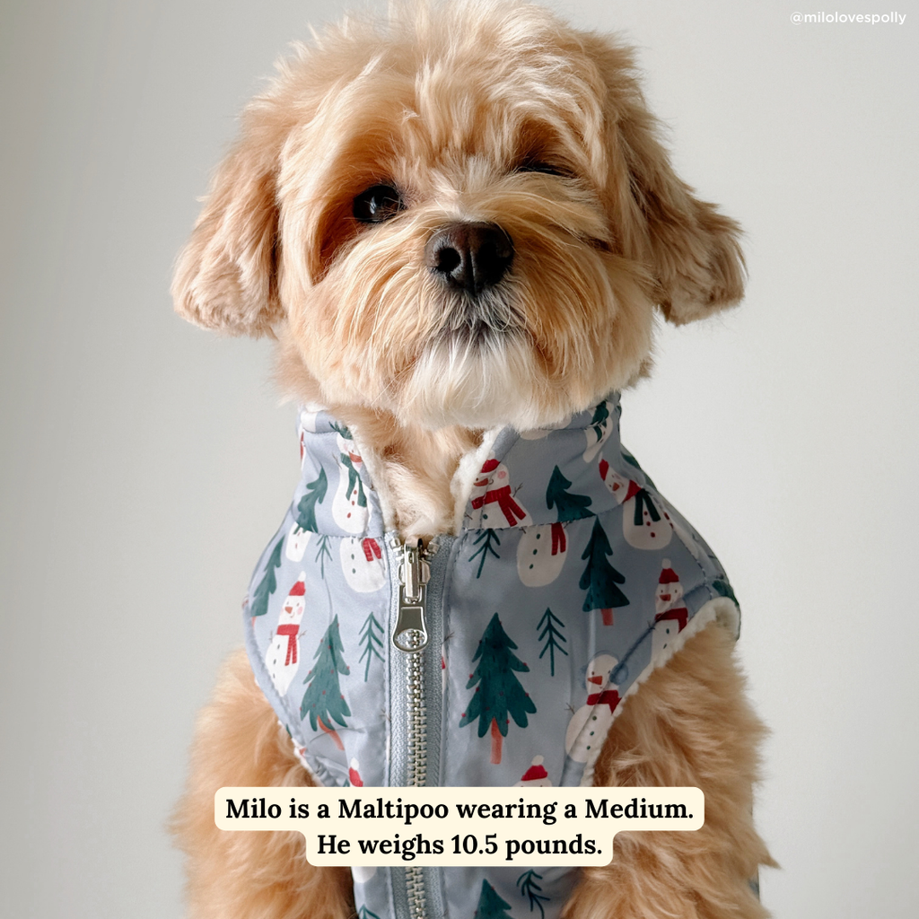 Snow Much Fun Reversible Teddy Dog Vest