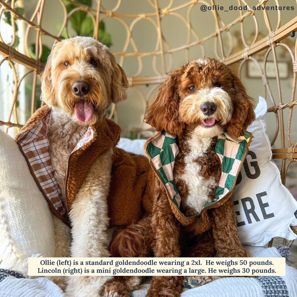 You're a Square Reversible Teddy Dog Vest