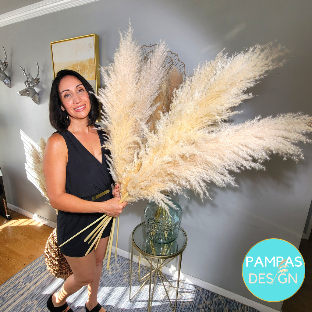 Huge XL Fluffy Pampas Grass 1 Stem (3.5ft to 4ft Tall)