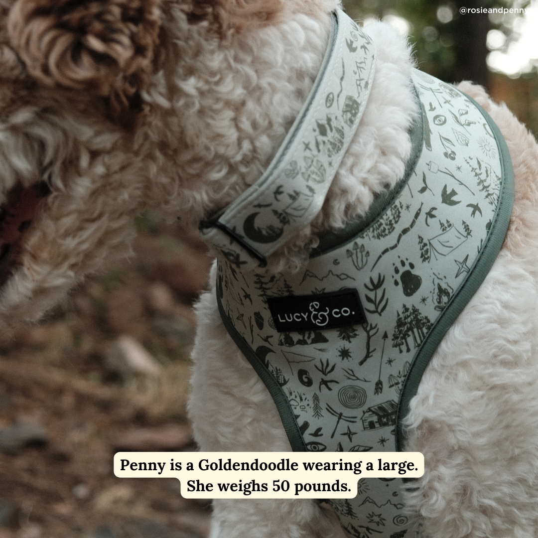 Camp Out Dog Collar