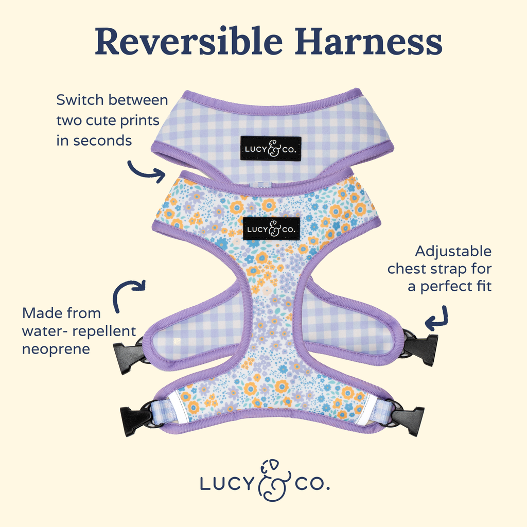 Among the Wildflowers Reversible Dog Harness