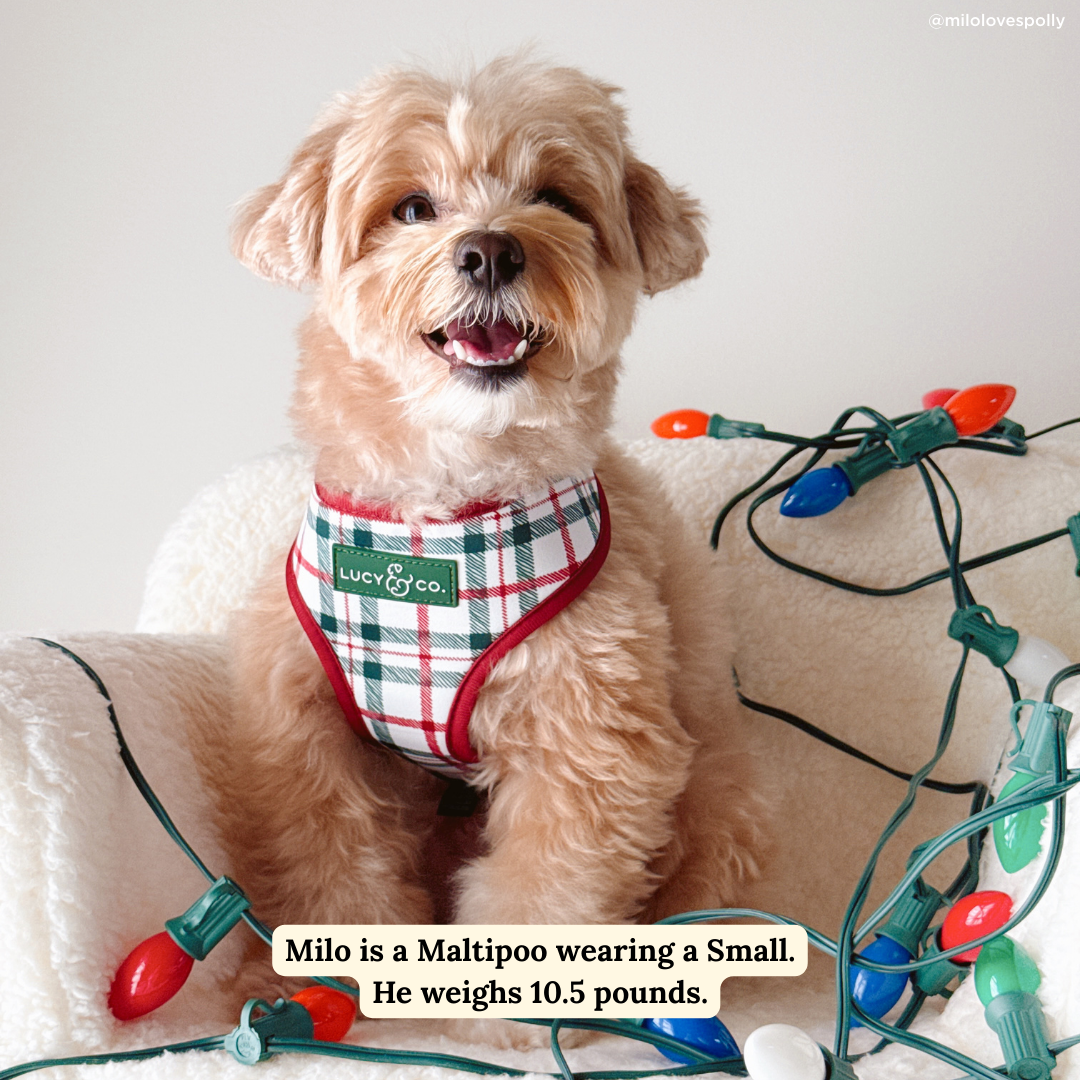 Snow Much Fun Reversible Dog Harness