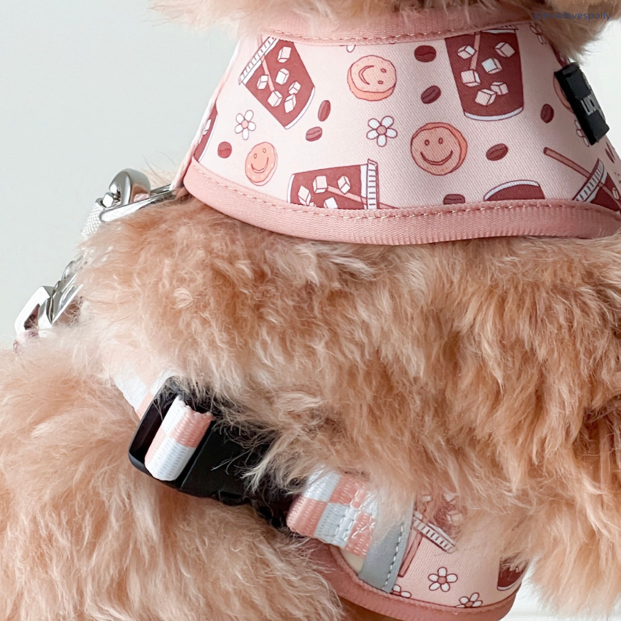 Iced Coffee SZN Reversible Dog Harness