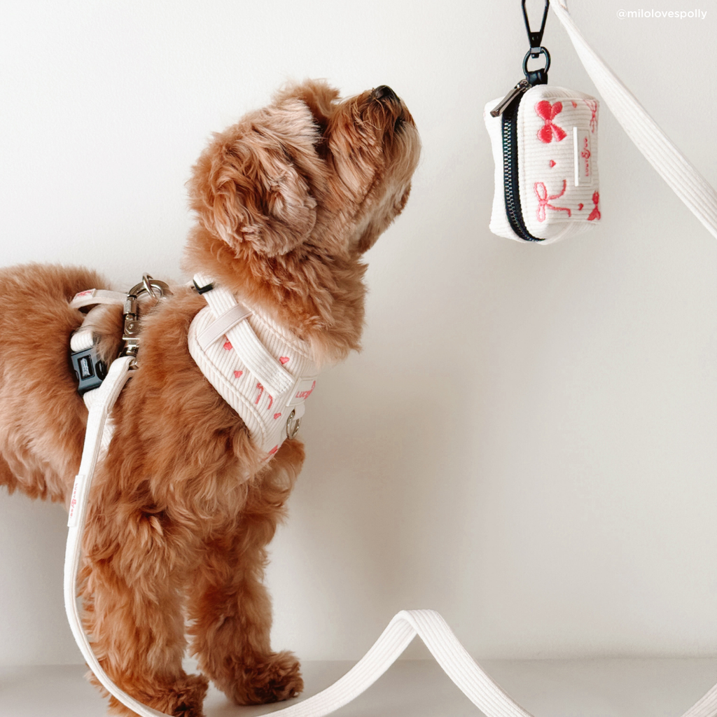 Ivory Corduroy Dog Leash