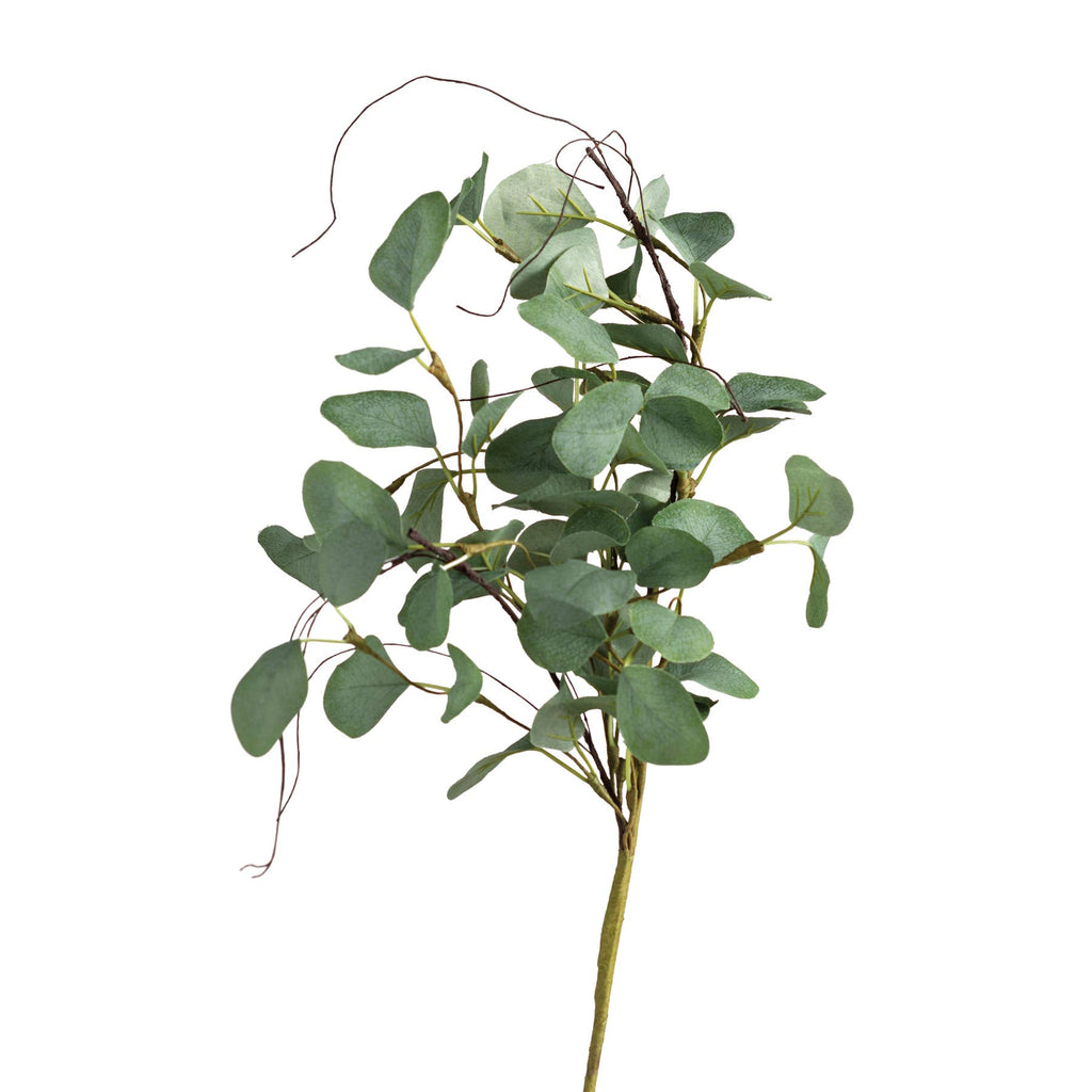 Eucalyptus Large Floral Pick