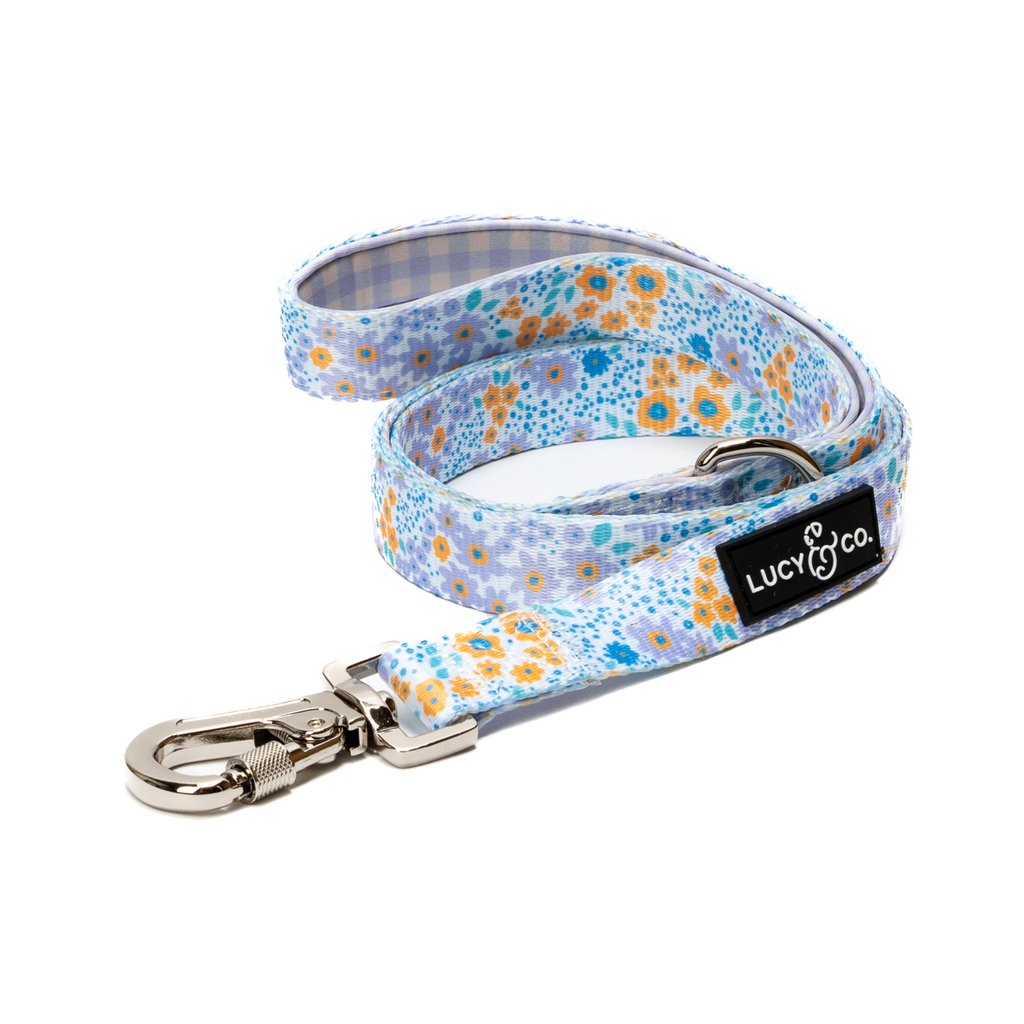 Among the Wildflowers Dog Leash