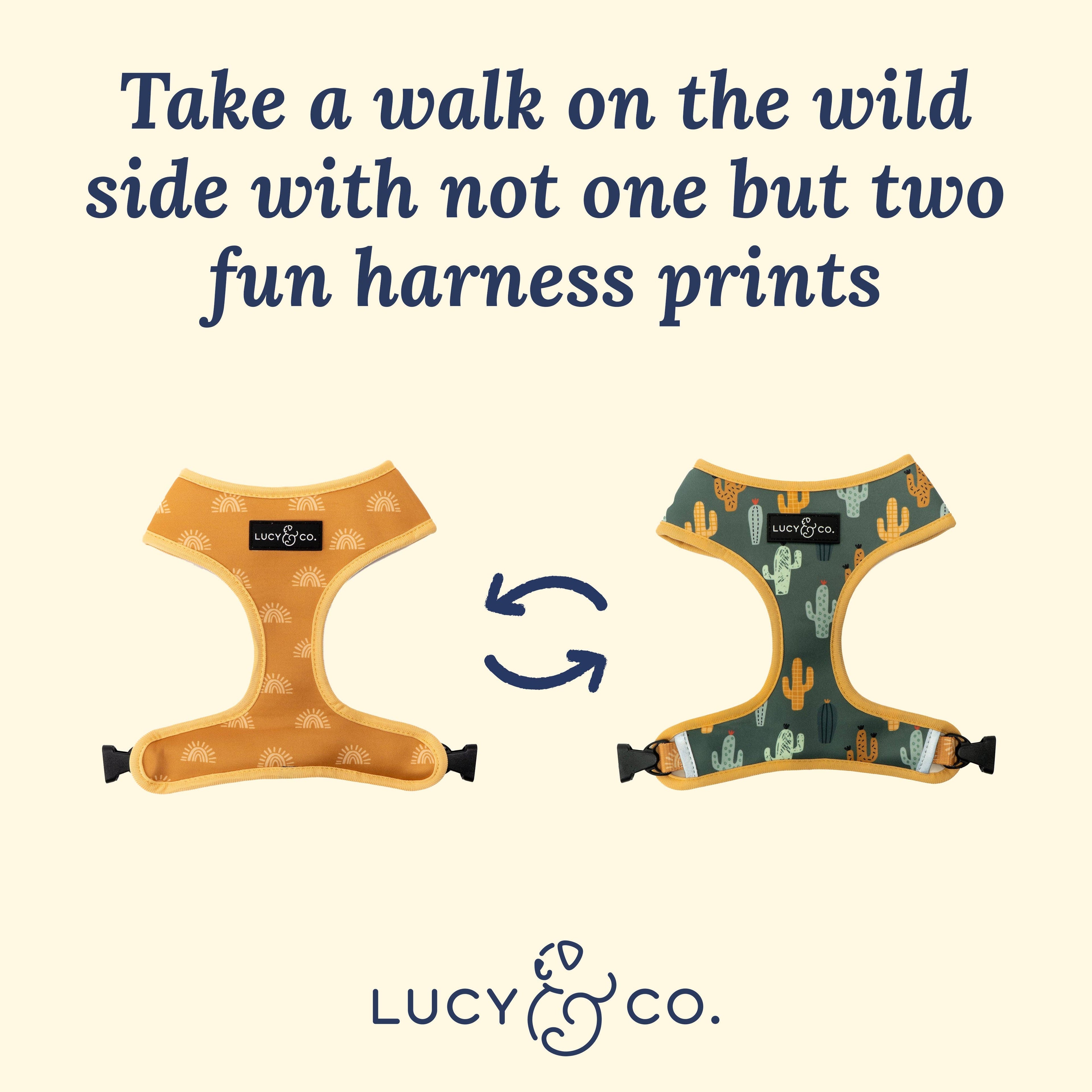 Looking Sharp Reversible Dog Harness