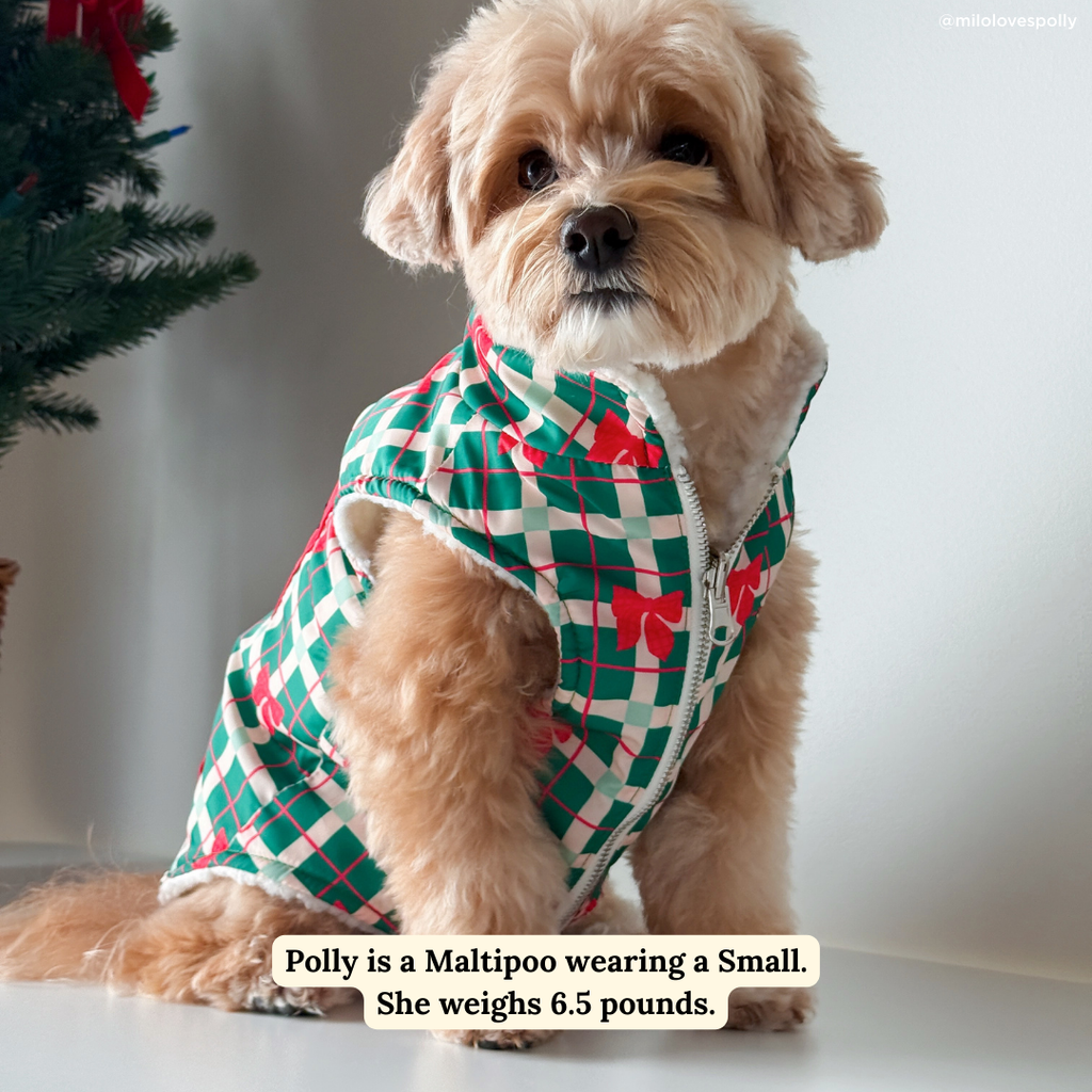Happy Howlidays Reversible Teddy Dog Vest