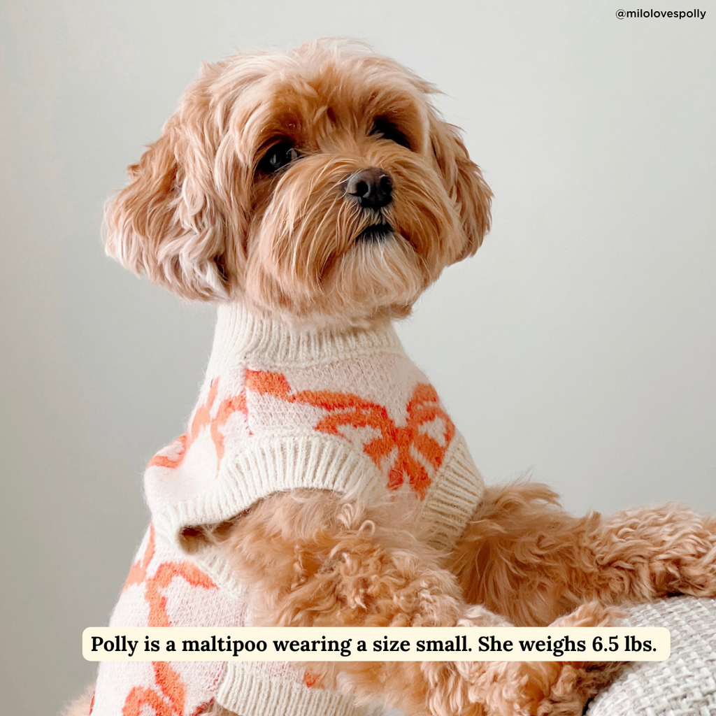 Coquette Ribbons Pet Sweater