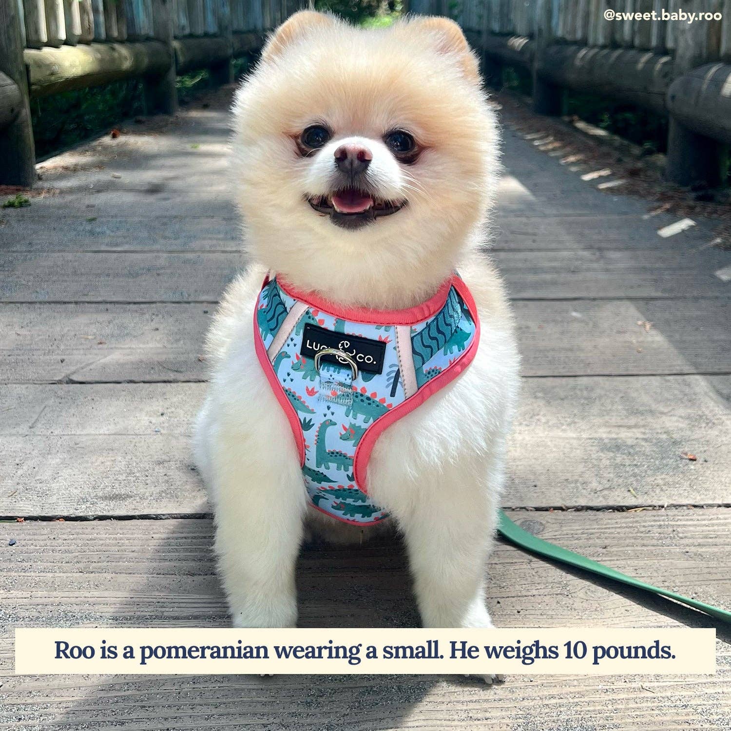 DinoROAR No-Pull Dog Harness