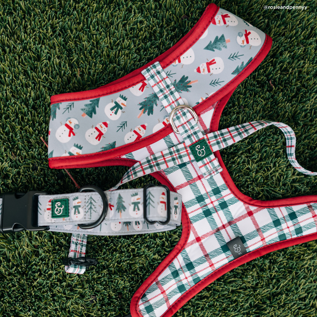 Snow Much Fun Reversible Dog Harness