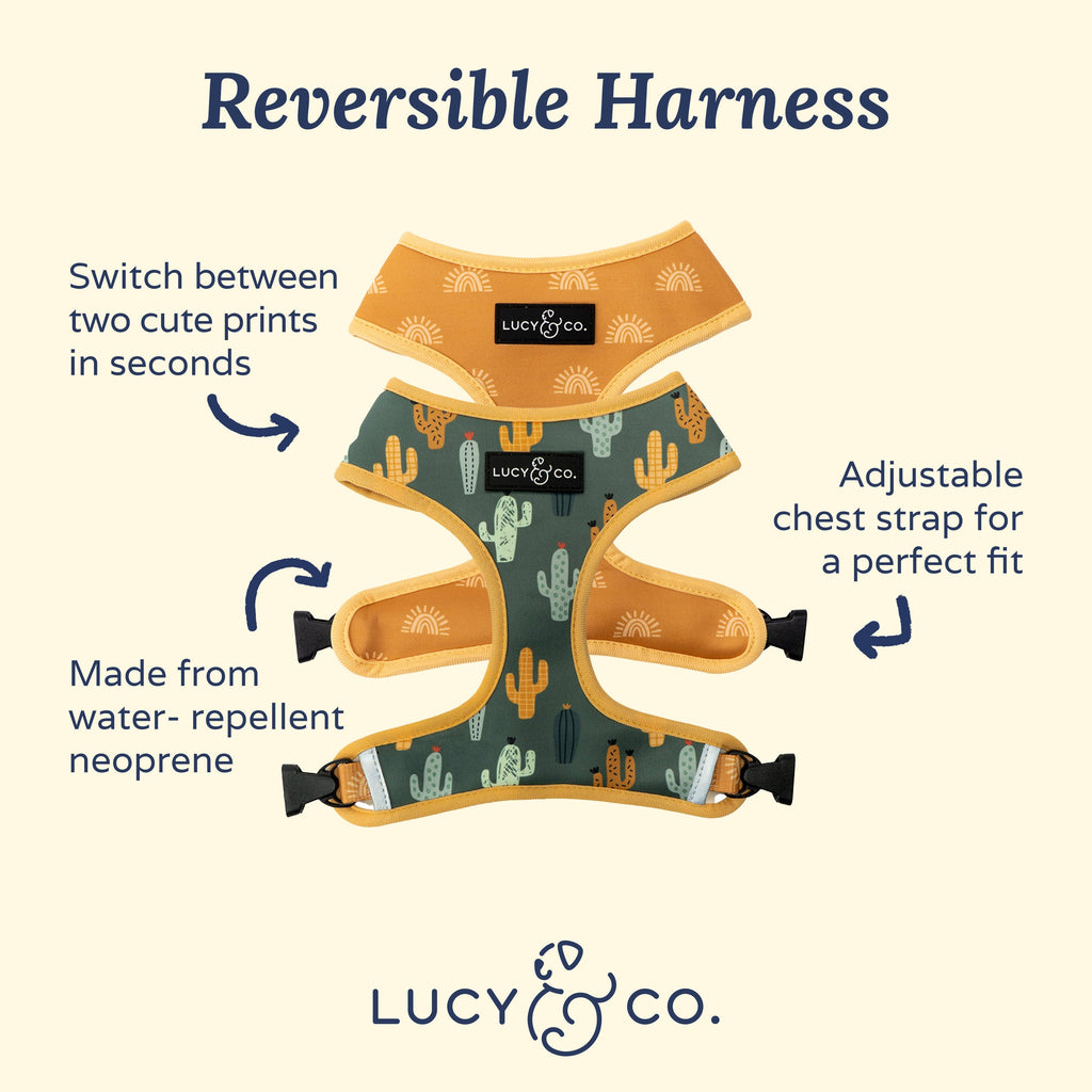 Looking Sharp Reversible Dog Harness