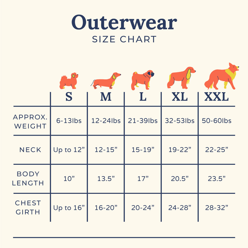 You're a Square Reversible Teddy Dog Vest