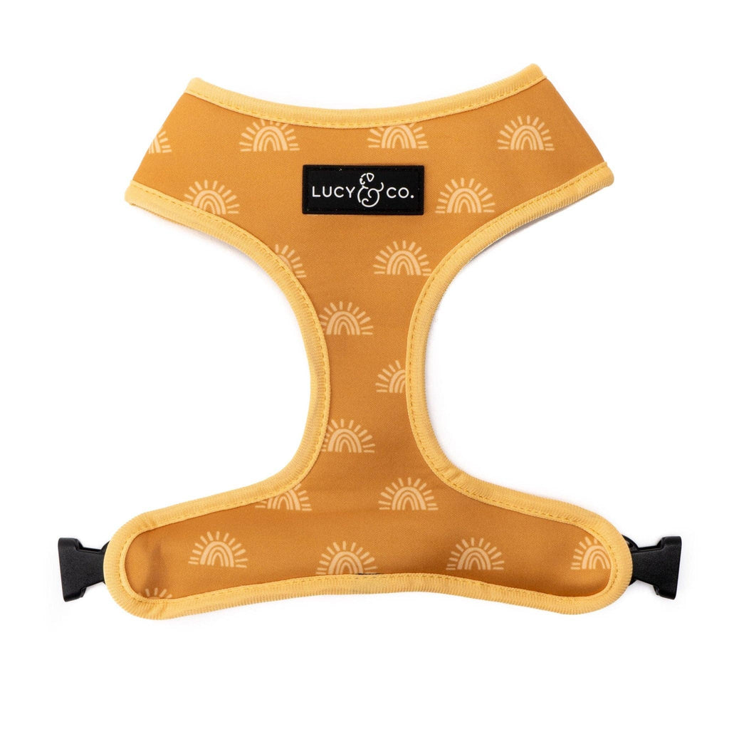 Looking Sharp Reversible Dog Harness