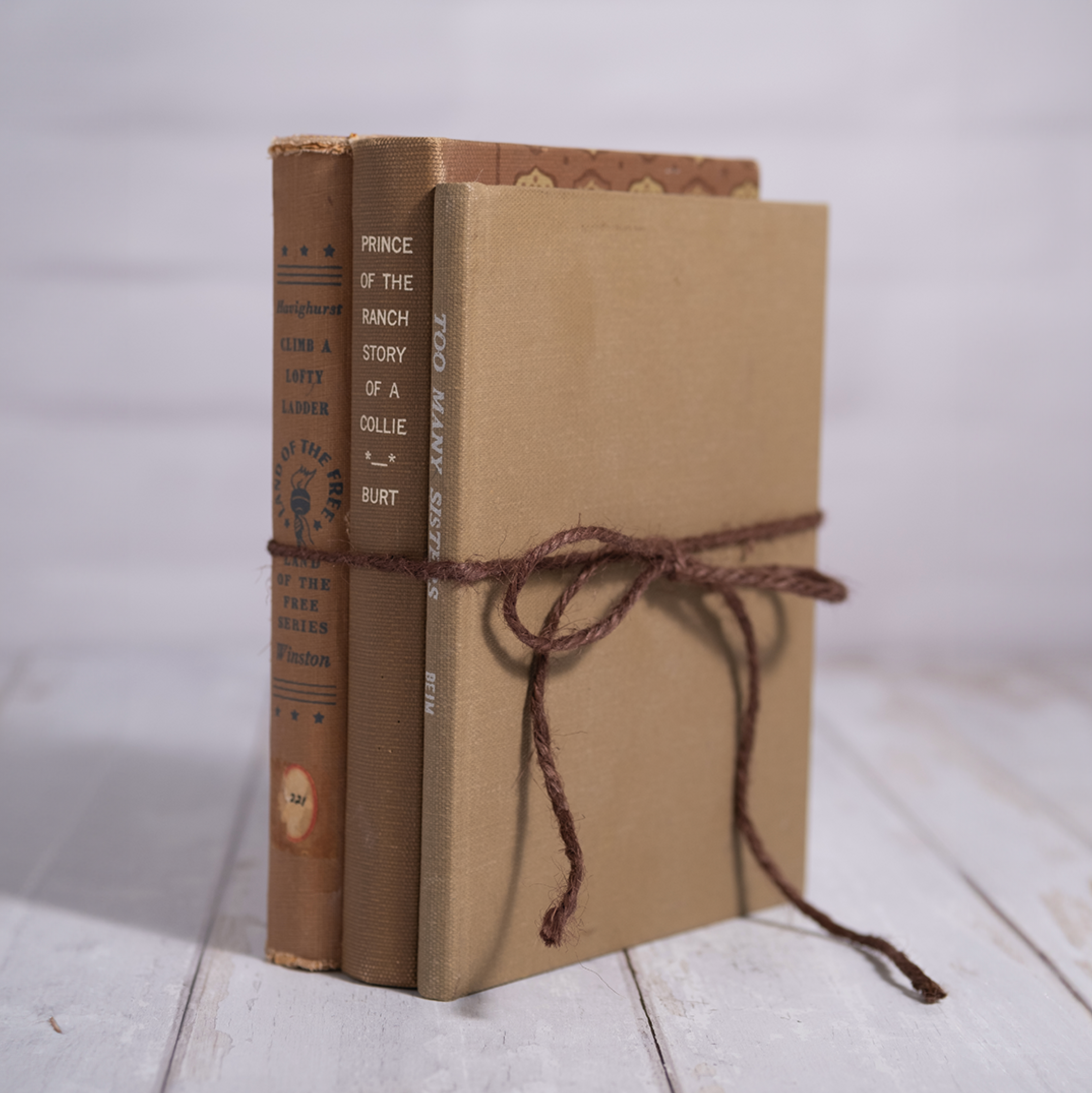 Decorative Vintage Books Decor - Neutrals  Set of 3
